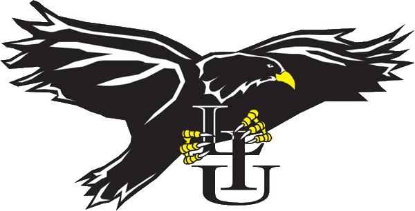 LIU-Brooklyn Blackbirds 1996-2007 Primary Logo diy fabric transfer